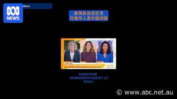 Liberal senator faces backlash over 'Chinese spies' claim among Chinese Aussie voters