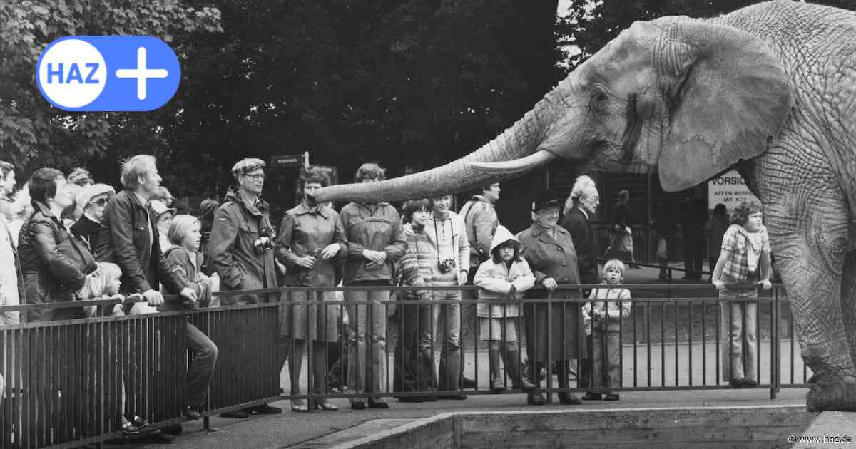 160 Jahre Zoo Hannover: Rückblick in die Geschichte