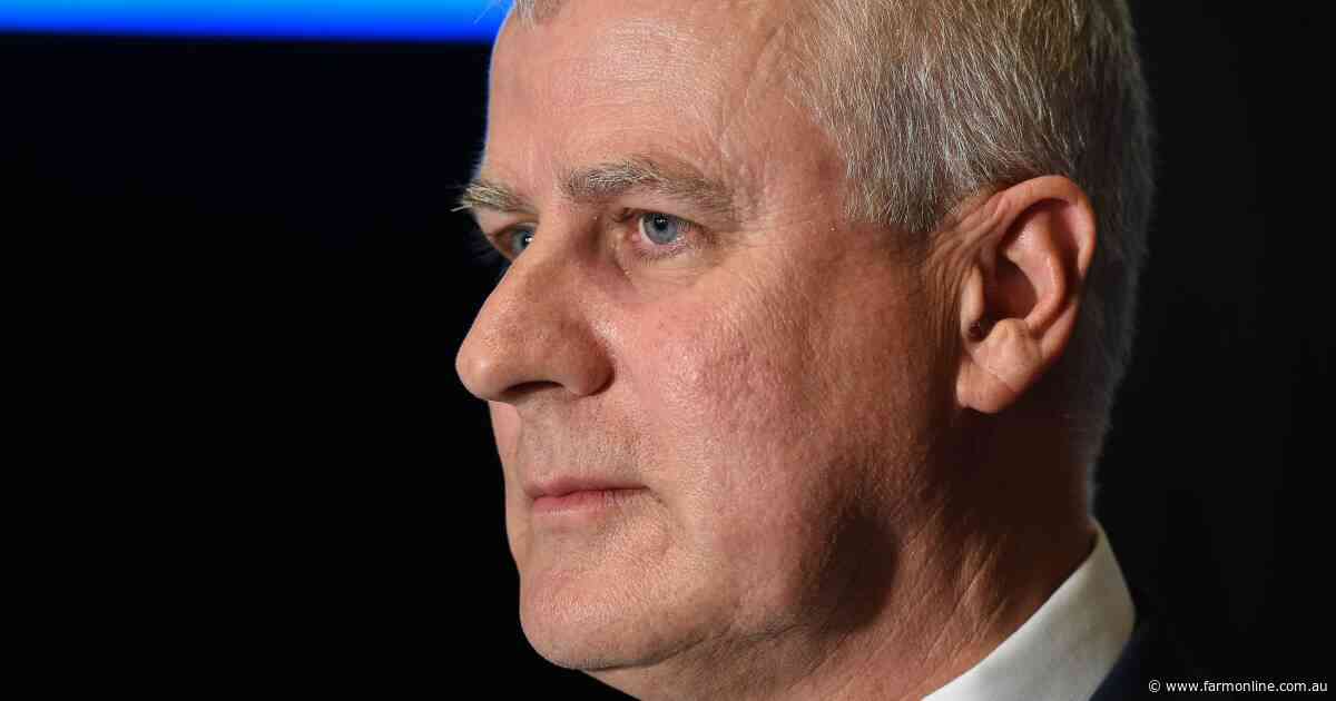 McCormack calls for 'brutal and honest' inquest after election 'bloodbath'