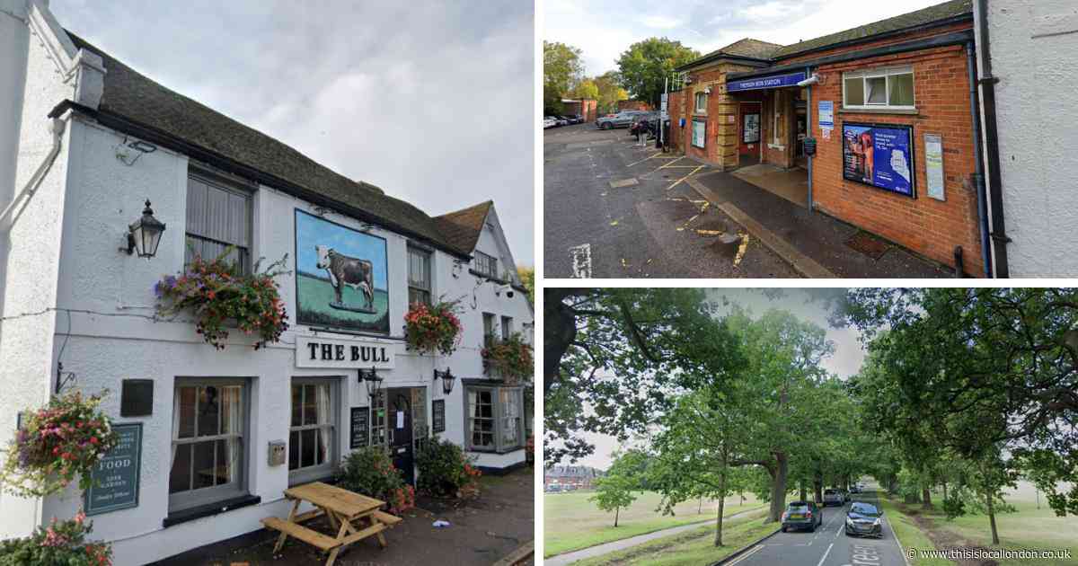 The Essex commuter village with no street lights where stargazers flock to