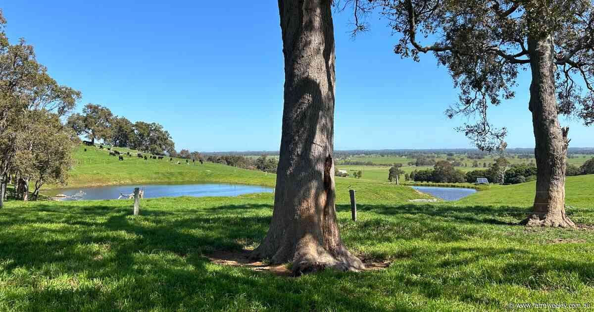 LAWD sells historic Melville Park farm after many expressions of interest