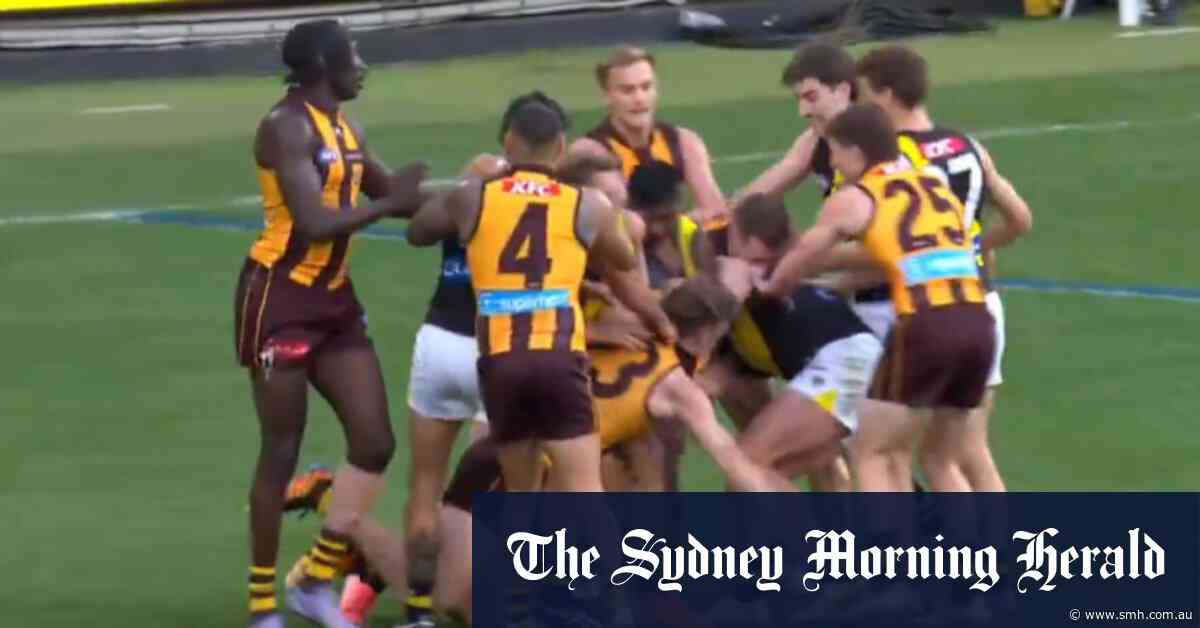 Tigers and Hawks brawls erupts at the MCG