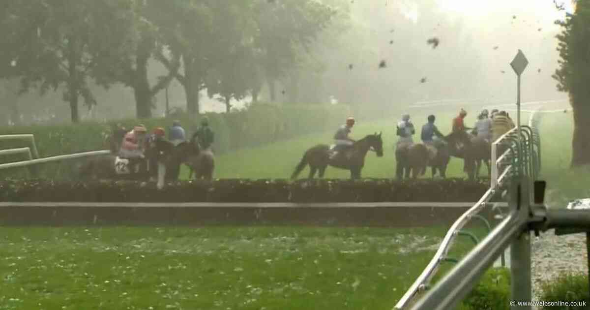 Horse racing abandoned as jockeys head for cover amid total chaos