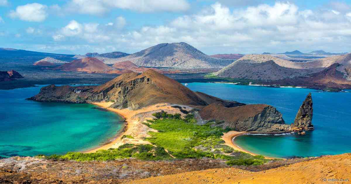 9 reasons a Galapagos cruise should be on every travel bucket list