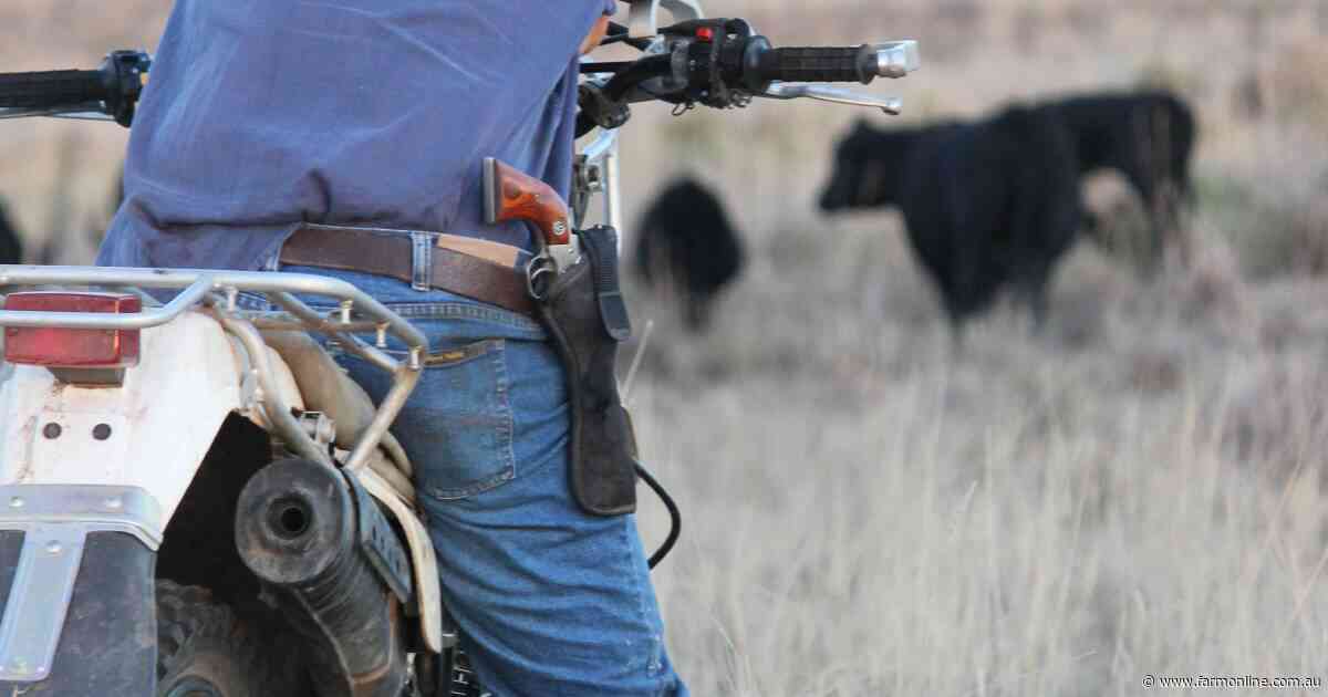 Need a firearm? Pass a physical and mental health screen, says WA govt