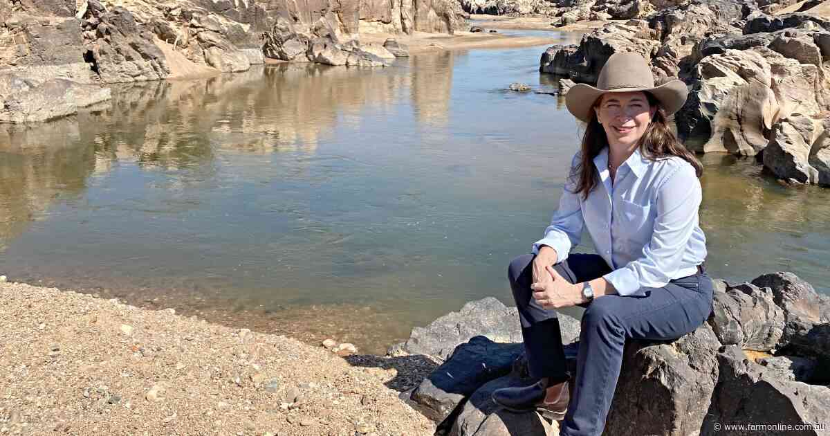 LNP Senator Susan McDonald calls out polling failure after shock losses