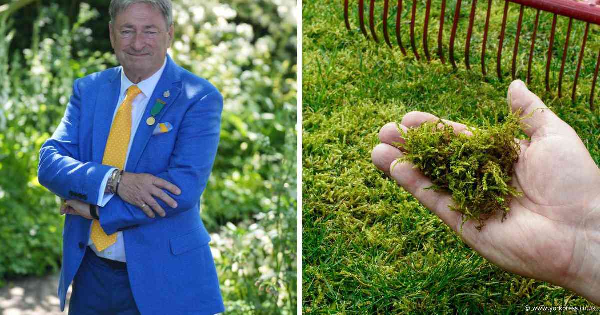 Alan Titchmarsh’s simple tips to get the perfect lawn – from moss to bald patches