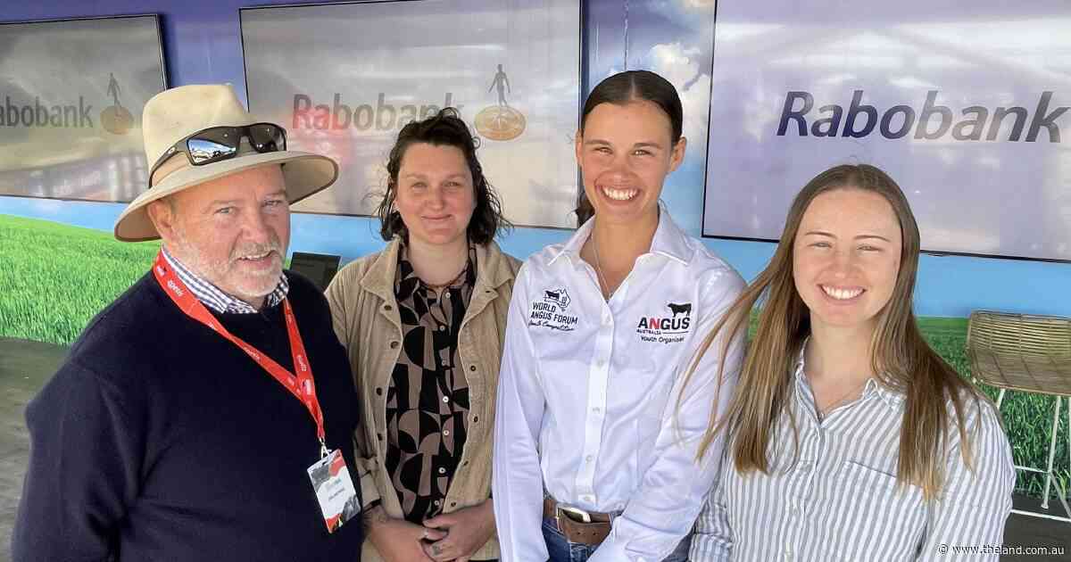Gut bacteria holds clues to cattle health, thanks to Angus Foundation research