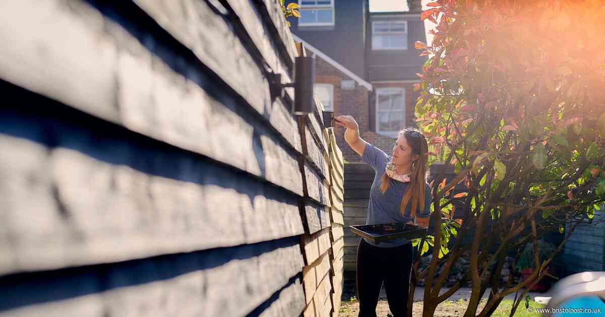 UK gardeners face up to £20,000 fines for illegal changes during National Gardening Week