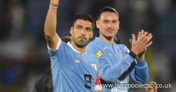 Luis Suarez shows true colours with new message to Liverpool after Premier League title win