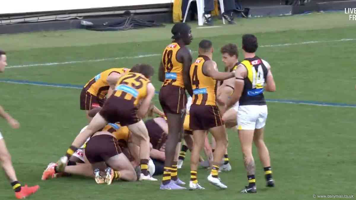 How one act sparked heated mass brawl between Hawks and Tigers stars as Jack Gunston boots landmark goal to kick-start Hawthorn's centenary celebrations
