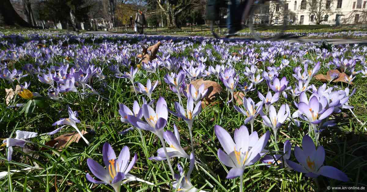 Wetter heute (4.5.2025): Aktuelle Wettervorhersage und Trends der nächsten Tage