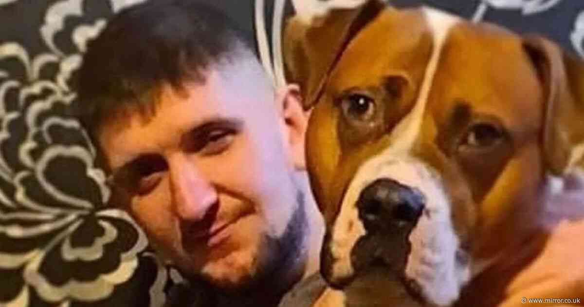 'My son banged his head but said he was fine - days later he was dead'