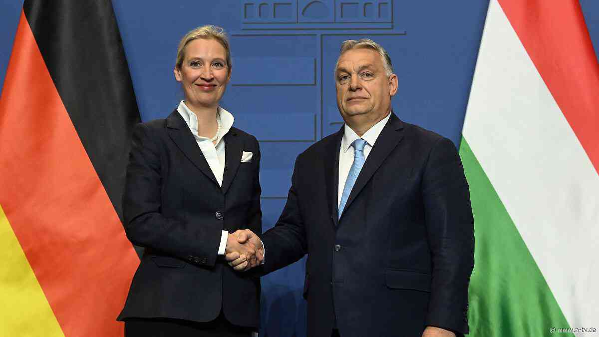 Empörung nach AfD-Einstufung: Orban: "Was zum Teufel ist in Deutschland los?"