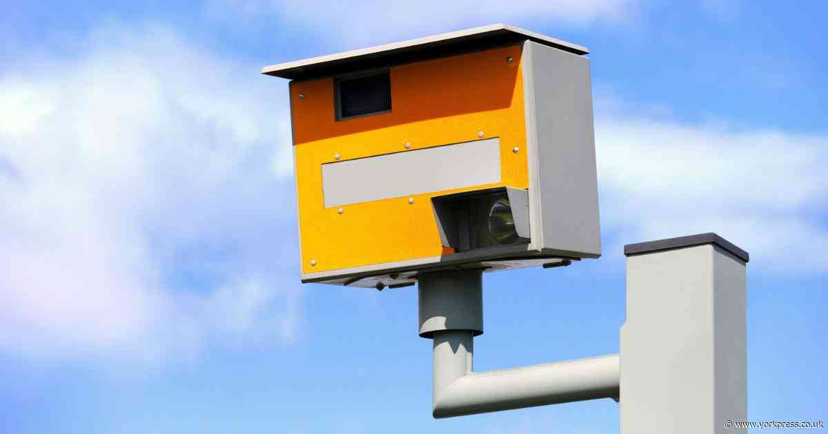 Four motorists banned for speeding and using phone while driving