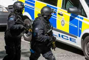 Eight men arrested in separate Met Police terror probes across UK