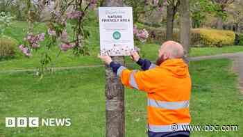 Council to 'naturalise' city's green spaces