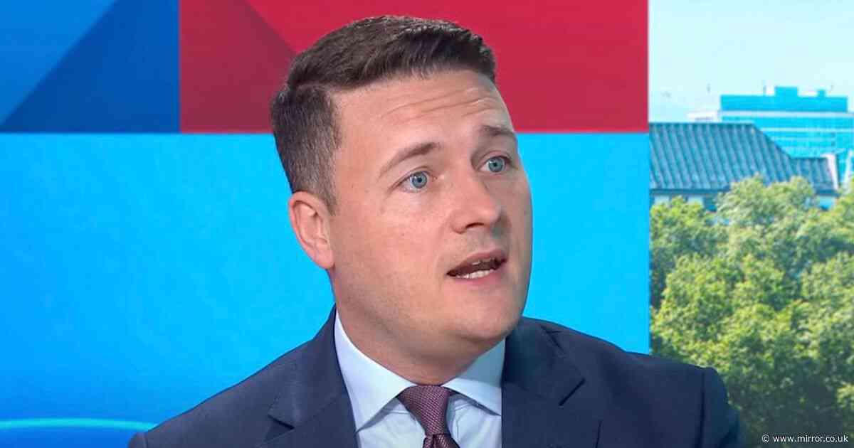 Wes Streeting sends 'telly' message to voters and makes Nigel Farage 'airtime' comment