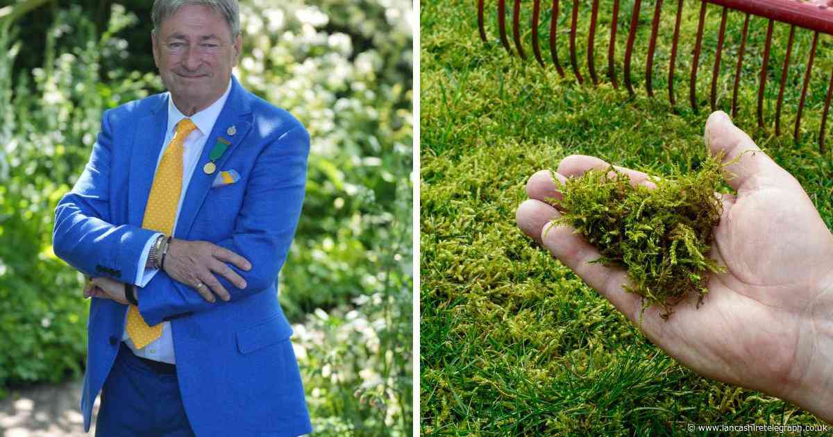Alan Titchmarsh’s simple tips to get the perfect lawn – from moss to bald patches