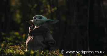 Fancy yourself to be at one with the force? Try this ultimate Star Wars Quiz