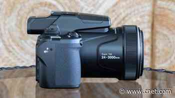 Nikon Coolpix P1100 Superzoom Camera Review: See Bird Butts From 1,000 Feet