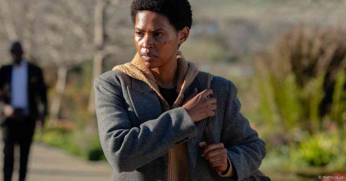 Netflix quietly drops all 6 episodes of ‘amazing’ thriller making fans cry