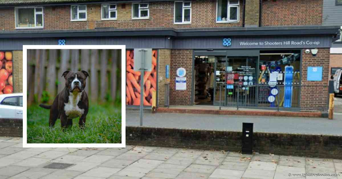 Man bitten whilst saving his dog from Staffie attack outside Shooters Hill Co-op