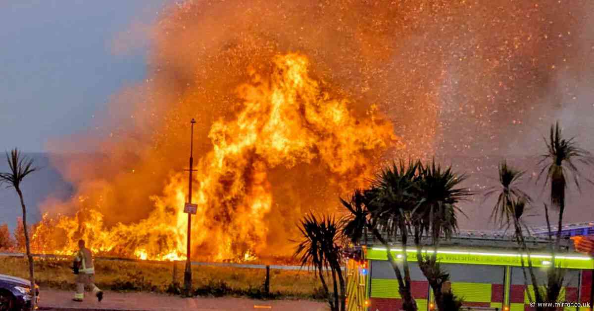 Bournemouth wildfire: Moment 'deliberate' blaze engulfs cliff above popular beach