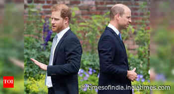 Harry begs for a Royal return— Will Prince William forgive?
