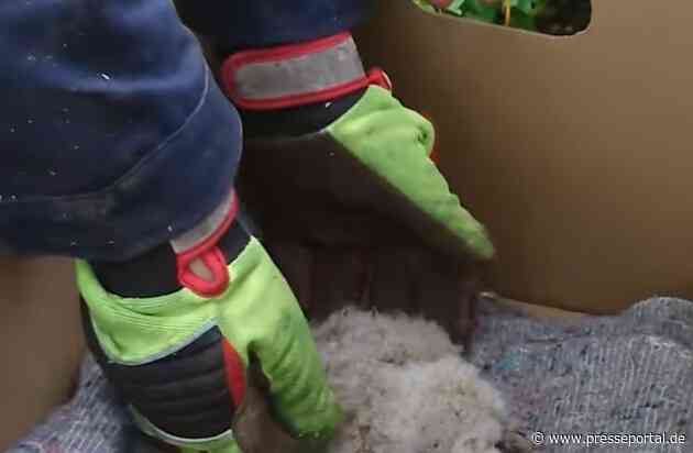 FW VG Westerburg: Unwetter wütet über Verbandsgemeinde Westerburg - Feuerwehren im Dauereinsatz