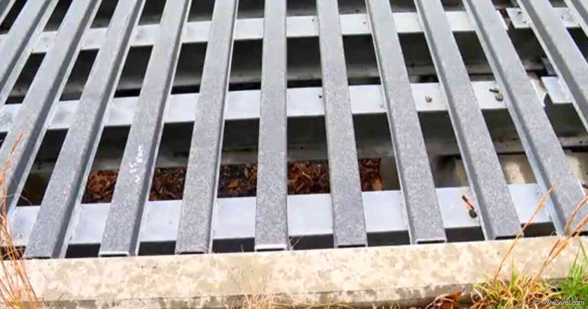 NC installing 'wildlife guards' on I-40 to offer safe passage for bears