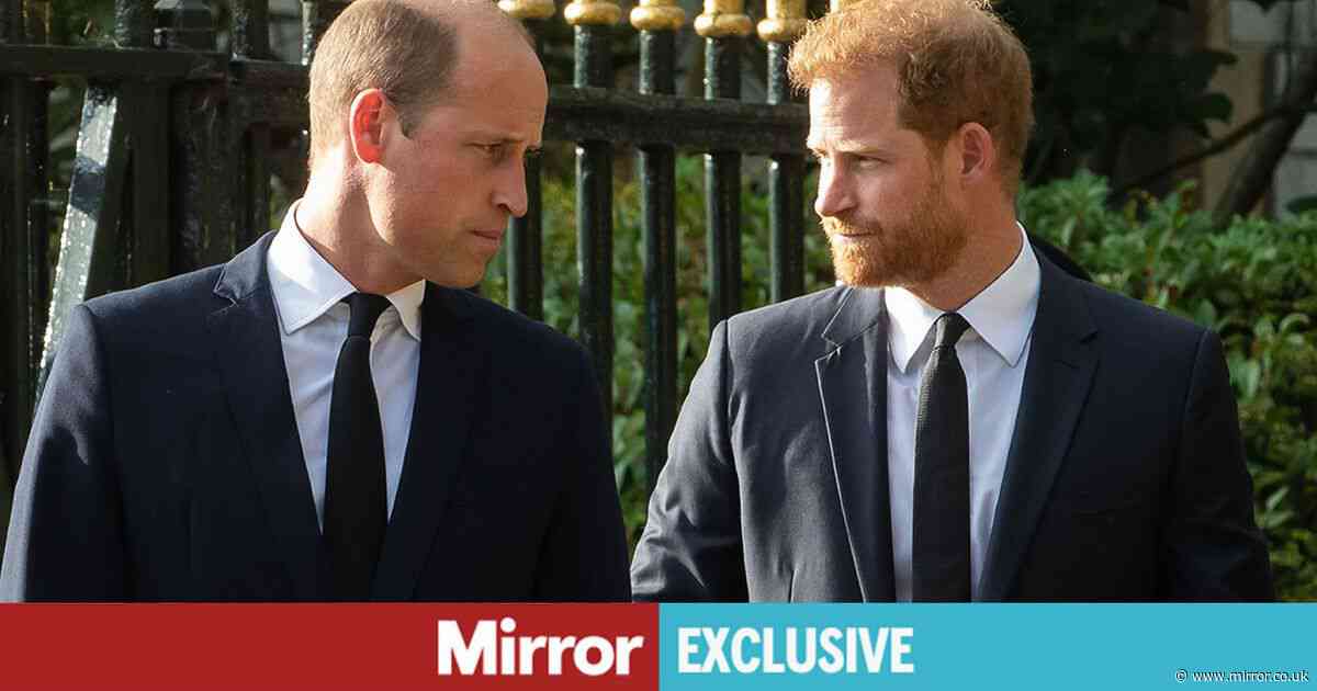 Prince William has 'no incentive' to speak to brother Harry after his BBC outburst