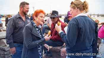 Pauline Hanson posts triumphant tweet - despite awkward reality facing One Nation