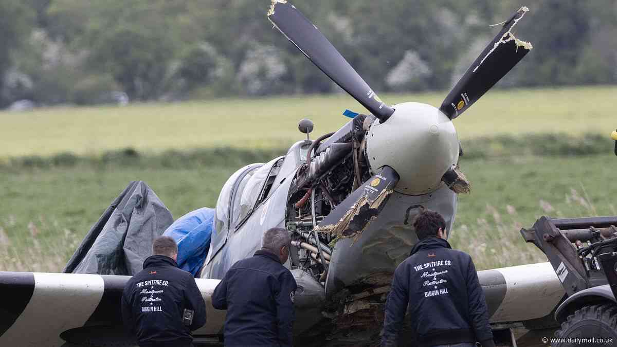 Seconds from death... but saved at the final moment: Eyewitness reveals how hero Spitfire pilot spared two lives as it crashed into field