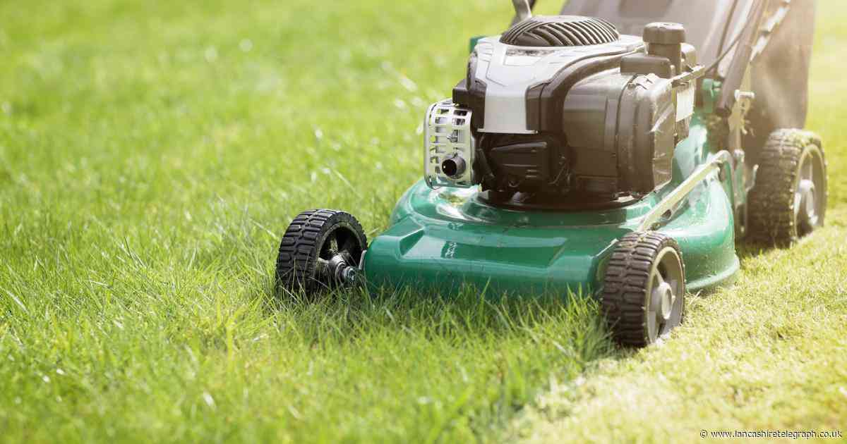 What is no mow May? The benefits and alternatives for a wildlife-friendly garden