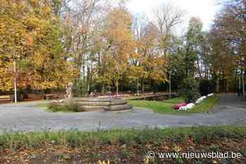 Brandweer blust brandende boomstam in stadspark