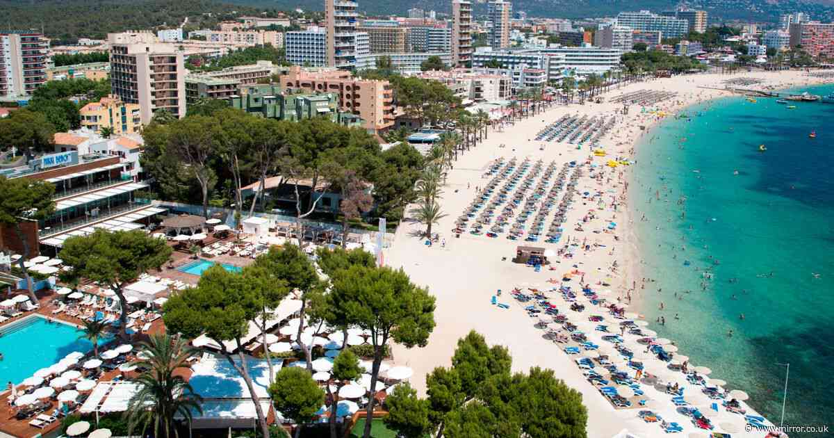 Majorca joins Ibiza in rental car crackdown as part of war on tourists