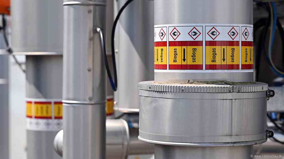 Betrug mit Zertifikaten bringt Bioenergiebranche in Bedrängnis