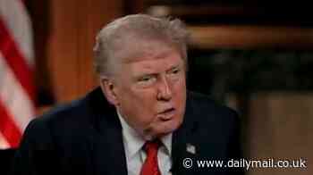 Trump finally reveals whether he will run in 2028 as he shrugs off appalled woke journalist: 'I'm not a lawyer'