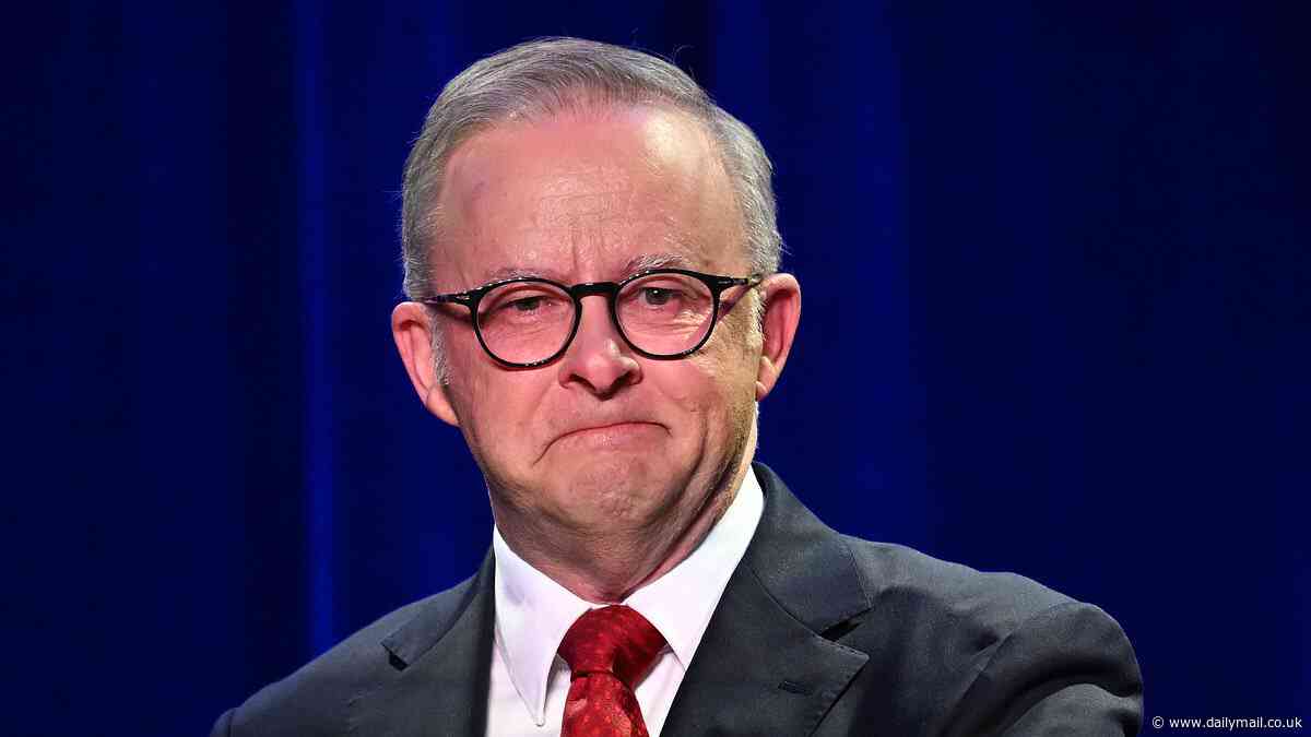 PETER VAN ONSELEN: The clear sign Anthony Albanese may be our Prime Minister until 2031... and the big decision he must make