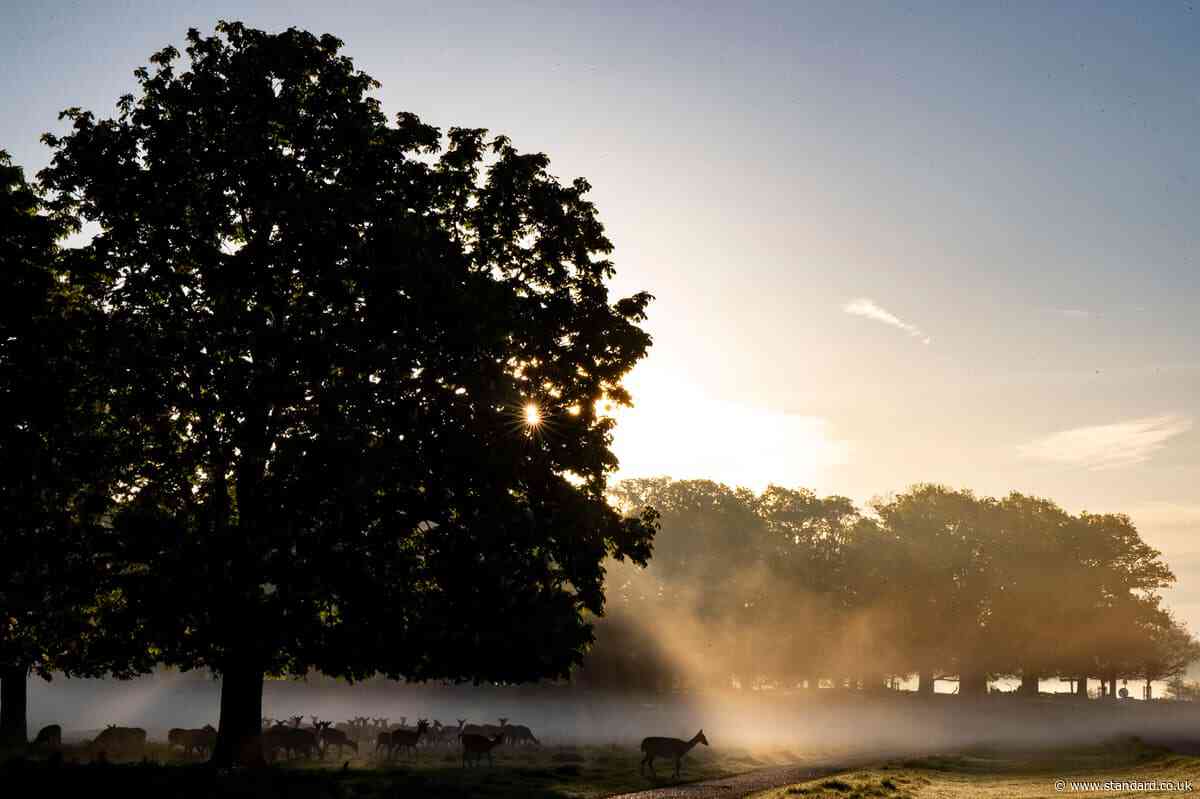Fears of crime surge as Met disbands dedicated Royal Parks police unit