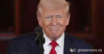 Trump ‘delighted’ by his influence on Canada’s election: U.S. journalist