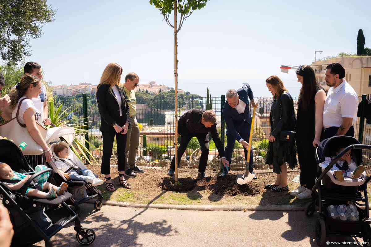 Monaco va planter 721 arbres dans la vallée de l’Esteron