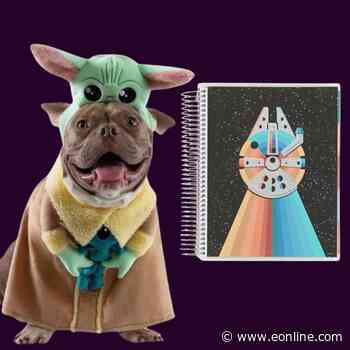 Bring the Force Home: Star Wars Must-Haves for You and Your Pet