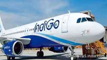 Passenger Behaves `Inappropriately` On Delhi-Shirdi IndiGo Flight With Staff, Airline Responds