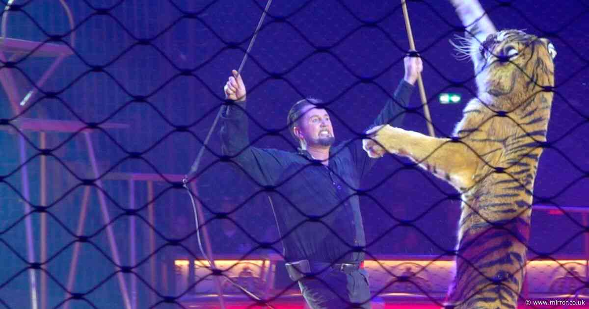 Brit-born lion tamer slammed for 'cruel' circus act as big cats 'trained through fear'