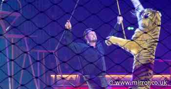 Brit-born lion tamer slammed for 'cruel' circus act as big cats 'trained through fear'