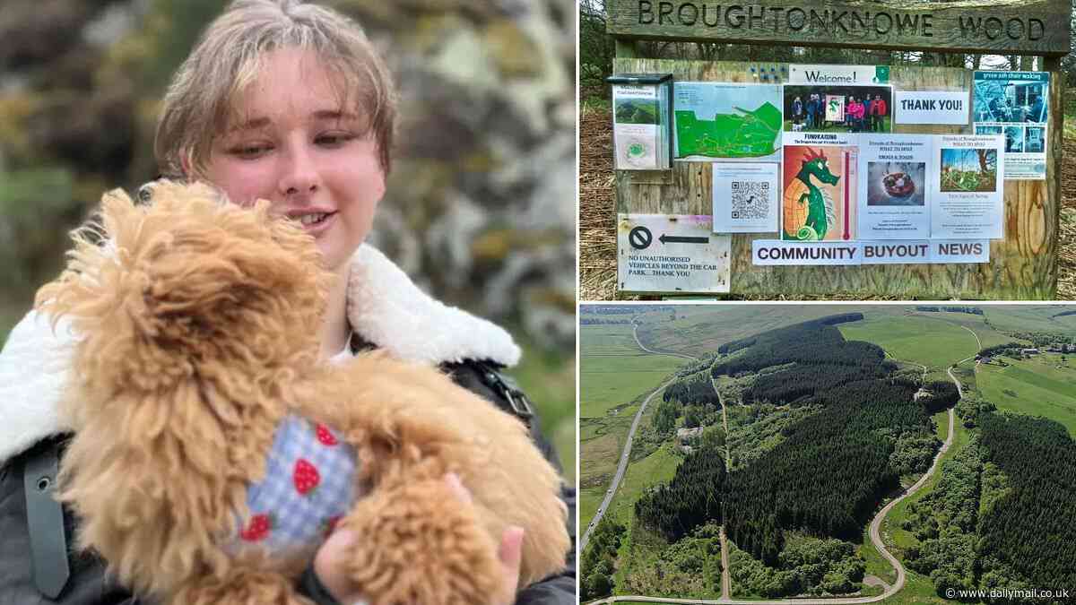 Wood you believe it! Dog walkers raise £900k to save forest for community
