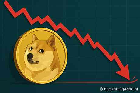 Dogecoin koers daalt ondanks miljarden aan whale transacties