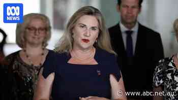 Liberal senator blasts leadership contender Angus Taylor